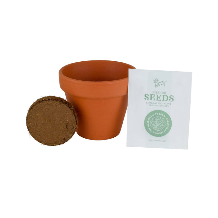 Kids Mini Terracotta Sunflower Grow Kit
