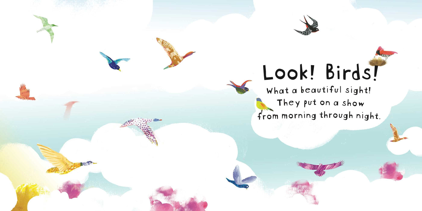 Look! Birds