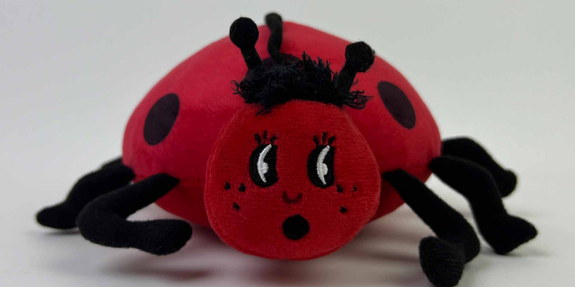 Woe is Me Ladybug