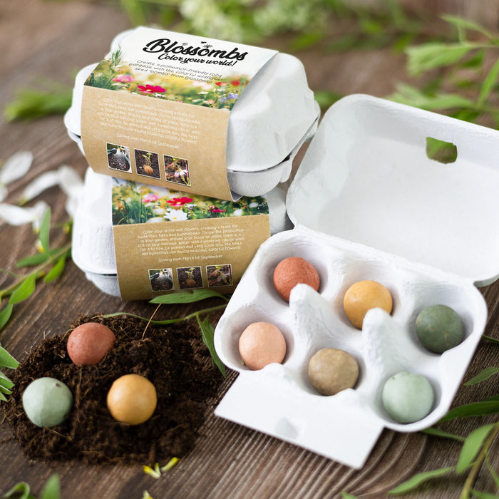 Blossombs Egg Box: Hello Spring