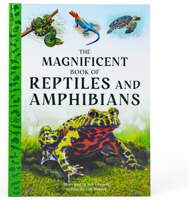 Magnificent Book Reptiles and Amphibians