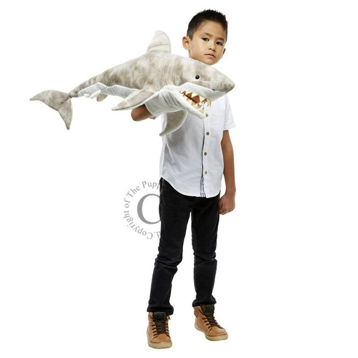 Large Creatures: Shark