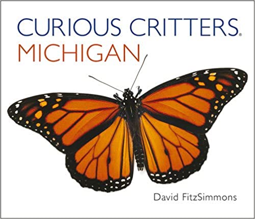 Curious Critters: Michigan Board Book