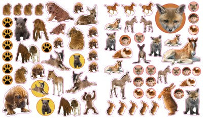 Eyelike Stickers: Baby Animals