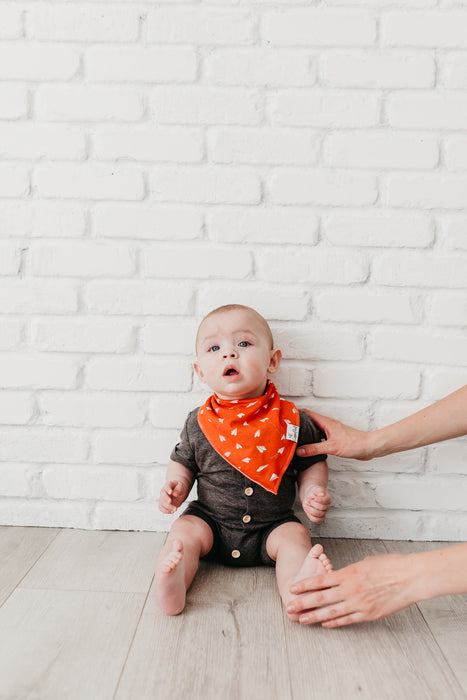 Bandana Bib 4pk- Ace