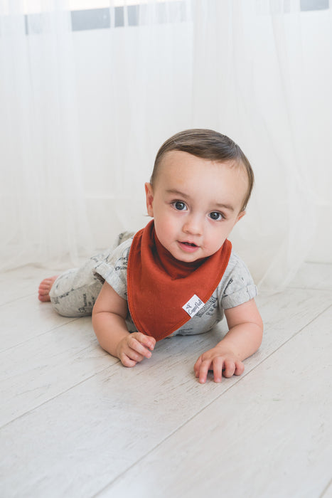 Bandana Bib 4pk- Ridge